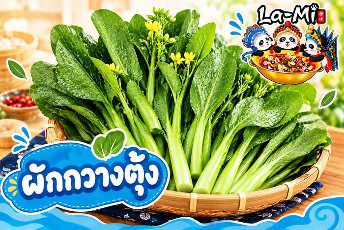ผักกวางตุ้ง - Choy Sum