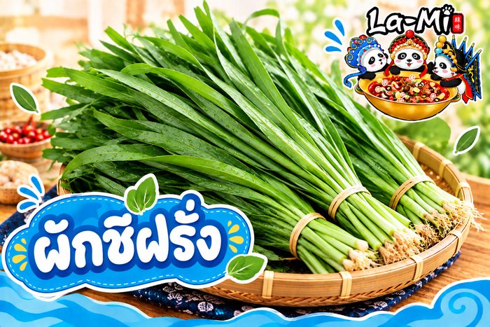 ผักชีฝรั่ง - Culantro