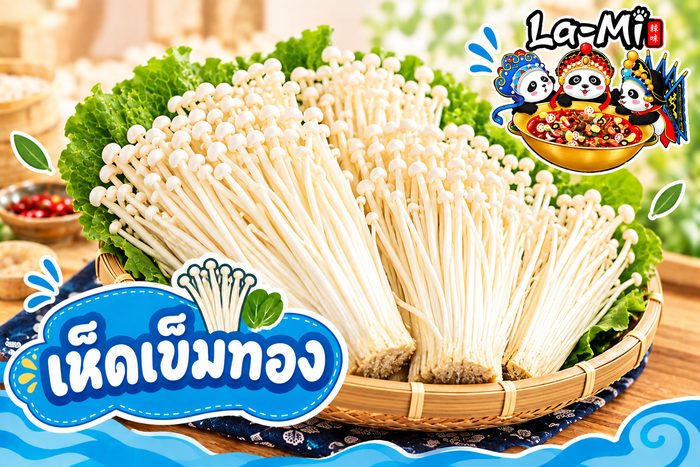 เห็ดเข็มทอง - Enoki Mushroom